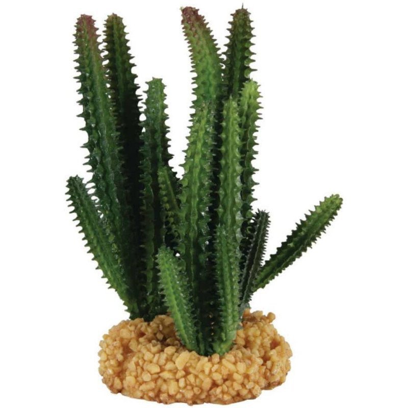 ZOLUX CACTUS PER DECORAZIONE DEL TERRARIO