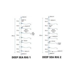 RAGOT TERMINALE PROFONDITÀ RAGOT DEEP SEA RIG