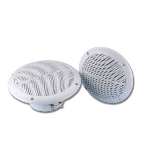 TREM COPPIA ALTOPARLANTI DOPPIO CONO 100W