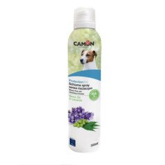 CAMON SCHIUMA SPRAY SENZA RISCIACQUO AL NEED E LAVANDA 300ML