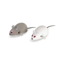 CAMON TOPO MECCANICO SENZA PELO PER GATTO