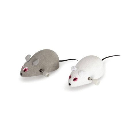 CAMON TOPO MECCANICO SENZA PELO PER GATTO