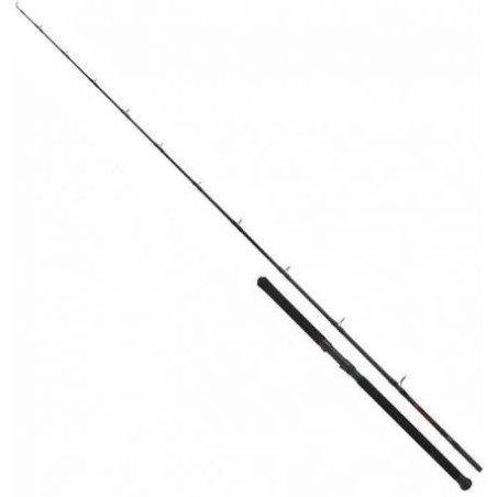 SHIMANO CANNA VENGEANCE 20-30lb AX BOAT SLIM