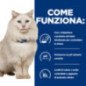 HILL'S GATTO URINARY CARE C/D MULTICARE STRESS POLLO