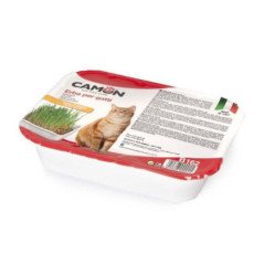 CAMON ERBA PER GATTI CON SEMI DI ORZO