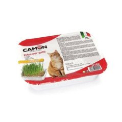 CAMON ERBA PER GATTI CON SEMI DI ORZO