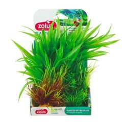 ZOLUX PLANTKIT SMALL NUMERO 2