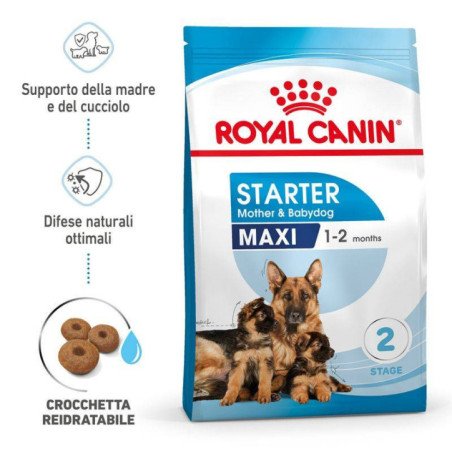 ROYAL CANIN MAXI STARTER MOTHER E BABYDOG 4KG