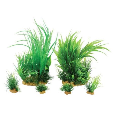 ZOLUX PLANTKIT MEDIUM NUMERO 1