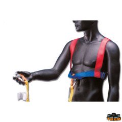 TREM CINTURA DI SICUREZZA