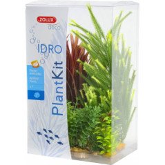 ZOLUX PLANTKIT IDRO 4 PIANTE ARTIFICIALI