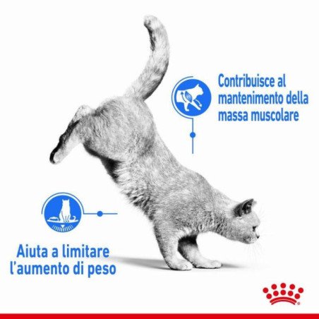 ROYAL CANIN LIGHT WEIGHT CARE BUSTINA 85GR
