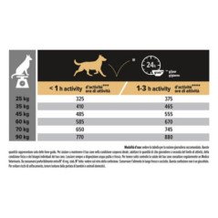 PURINA PRO PLAN ADULT LARGE ROBUST SENSITIVE SKIN SALMONE 14KG
