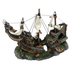 CROCI AMTRA RELITTO SU ROCCE