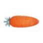 CROCI RODY NIBBLER CAROTE CON VITE