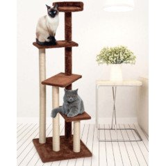 LEOPET TIRAGRAFFI MAIORI