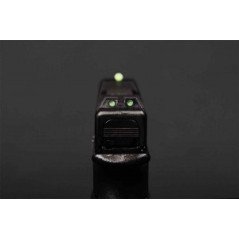 EVOLUTION PISTOLA A GAS E017