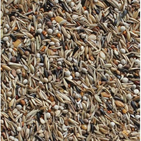 MANITOBA MANGIME CARDUELIS SPINUS EXTRA FANCY 2.5KG