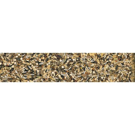 MANITOBA SEMI MISCUGLIO CARDELLINO MAJOR 2.5KG