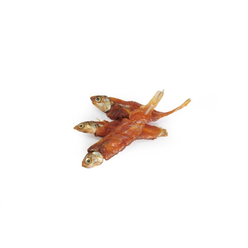 CAMON SNACK INVOLTINI DI POLLO CON PESCE 100GR