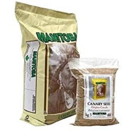 MANITOBA SCAGLIOLA SEED ONE BLUE 5KG