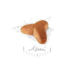 ROYAL CANIN PUG PUPPY CARLINO 1,5KG