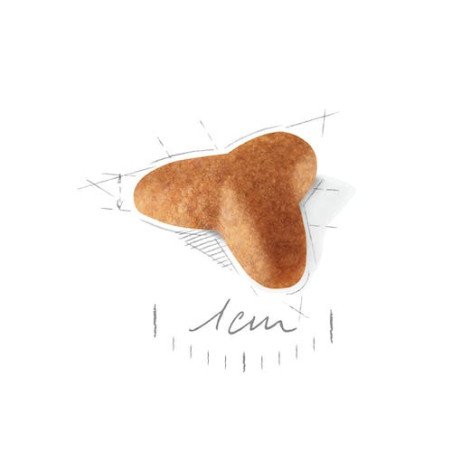 ROYAL CANIN PUG PUPPY CARLINO 1,5KG