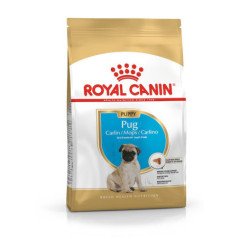 ROYAL CANIN PUG PUPPY CARLINO 1,5KG