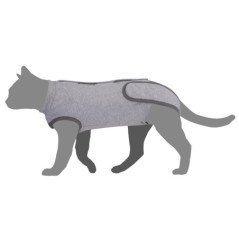 CAMON TUTINA POST OPERATORIA GATTO