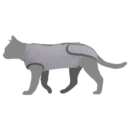 CAMON TUTINA POST OPERATORIA GATTO