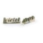 CAMON DENTAL SNACK CON ENZIMI GUSTO MENTA
