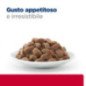 HILL'S GATTO UMIDO URINARY CARE C/D MULTICARE STRESS POLLO 85GR
