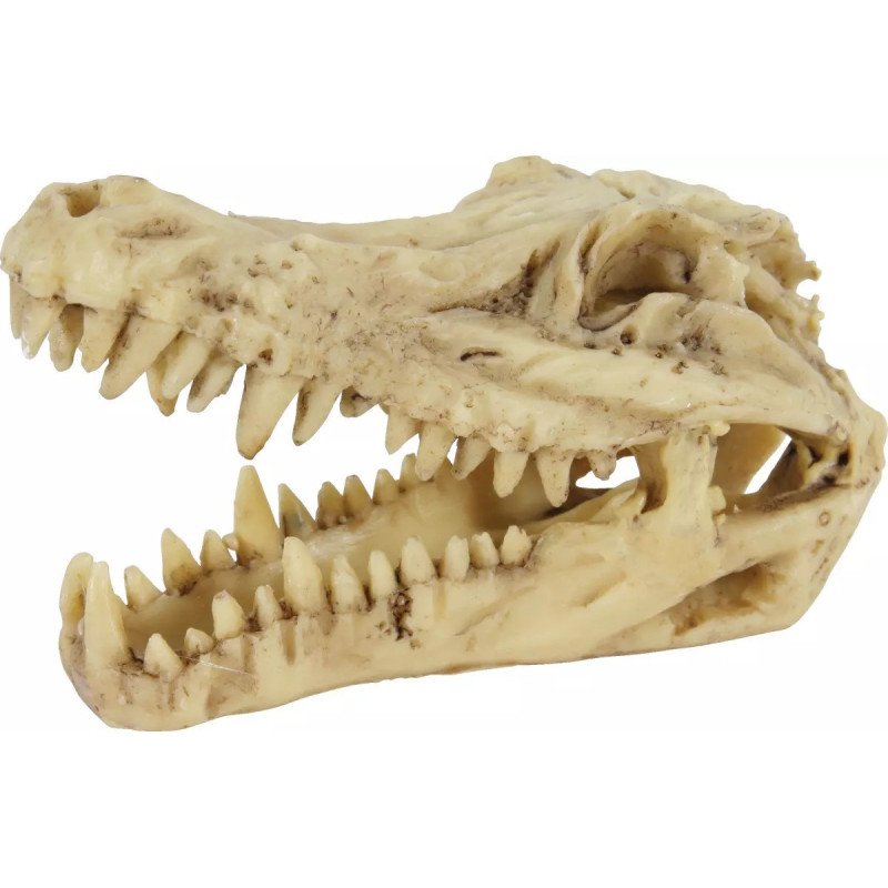 ZOLUX DECORAZIONE ACQUARIO JURASSIC 6