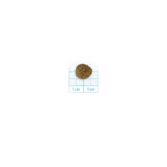 FORZA10 MINI ADULT MONODIET MAIALE E PATATE 1-10KG
