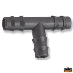 APISTOGRAMMA CACATUOIDES