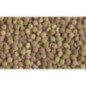 TETRA PLANTA START 12 COMPRESSE