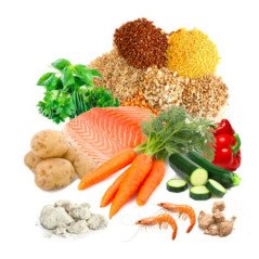 PRODAC TARTAFOOD PELLET