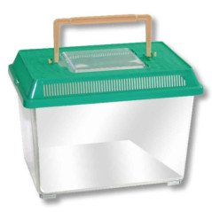 AMTRA BOXLIFE CONTENITORE PICCOLO IN PLASTICA PER PESCI