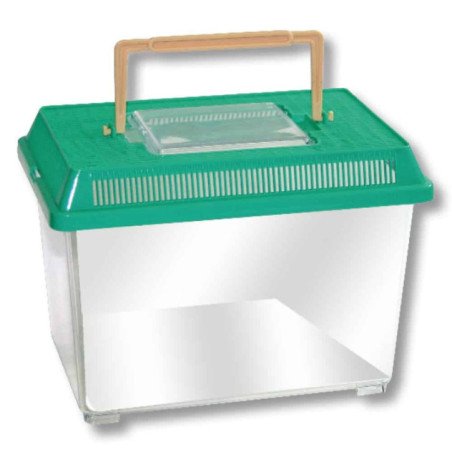 AMTRA BOXLIFE CONTENITORE PICCOLO IN PLASTICA PER PESCI