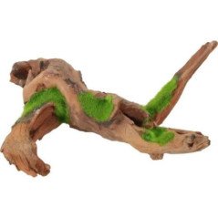 ZOLUX RADICE DI LEGNO MALESIA KIPOUSS M