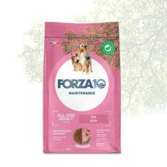 FORZA10 ALL SIZE ADULT MAINTENANCE MAIALE 1-70 KG