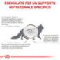 ROYAL CANIN GATTO UMIDO GASTROINTESTINAL FIBRE RESPONSE 85GR