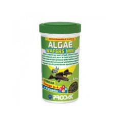 PRODAC ALGAE WAFERS MINI PESCI TROPICALI 50GR