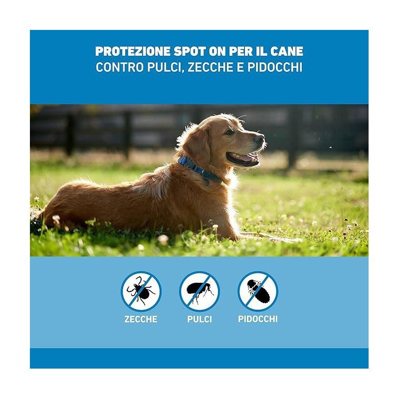 FRONTLINE SPOT ON CANI 20-40KG 3 PIPETTE