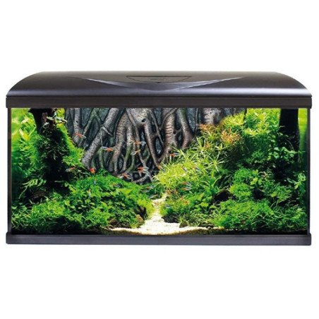 AQUARIO AMTRA SYSTEM 80 LED COMPLETO