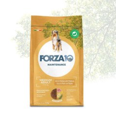 FORZA10 MEDIUM ADULT MAINTENANCE POLLO CON PATATE 11-35 KG