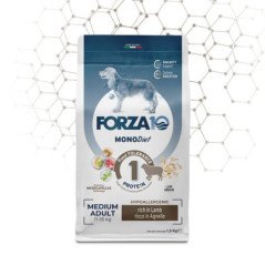 FORZA10 MEDIUM ADULT MONODIET AGNELLO 11-35KG