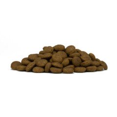 FORZA10 MEDIUM ADULT MONODIET CERVO CON PATATE 11-35KG