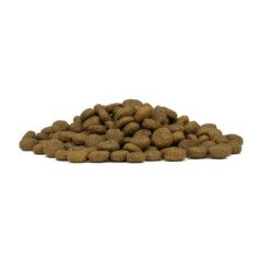 FORZA10 MEDIUM ADULT MONODIET CAVALLO E PISELLI 11-35KG