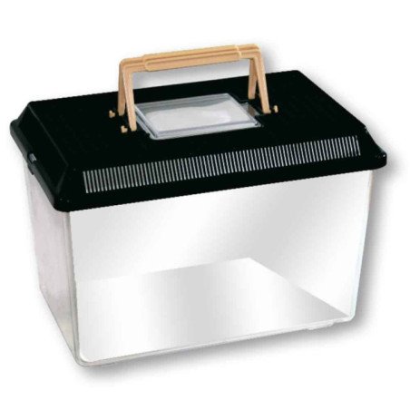 AMTRA BOXLIFE MEDIUM CONTENITORE IN PLASTICA PER PESCI